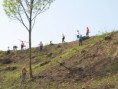 /album/fotogaleria-sadenie-stromkov-29-4-2018/p4295333-jpg/