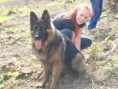 /album/fotogaleria-sadenie-stromkov-29-4-2018/p4295351-jpg/