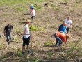 /album/fotogaleria-sadenie-stromkov-29-4-2018/p4295380-jpg/
